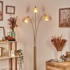 Lindberg Golvlampa Mässing, Svart, 3-ljuskällor