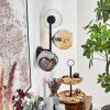 Ripoll kullampa, Vägglampa Amber, Klart, Rökfärger, 3-ljuskällor