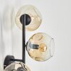Ripoll kullampa, Vägglampa Amber, Klart, 3-ljuskällor