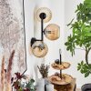 Koyoto kullampa, Vägglampa Amber, 3-ljuskällor