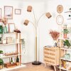 Soungou Golvlampa Mässing, Svart, 3-ljuskällor