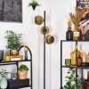 Koyoto Golvlampa 31 cm Guld, 3-ljuskällor