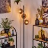Koyoto Golvlampa 31 cm Klart, Kopparfärg, 3-ljuskällor