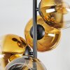 Koyoto Taklampa, kullampa Guld, Klart, 4-ljuskällor