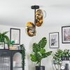 Koyoto Taklampa, kullampa Guld, Klart, 4-ljuskällor