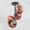 Koyoto Taklampa, kullampa Klart, Kopparfärg, 4-ljuskällor