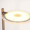 Steinhauer Turound Golvlampa Brons, 2-ljuskällor