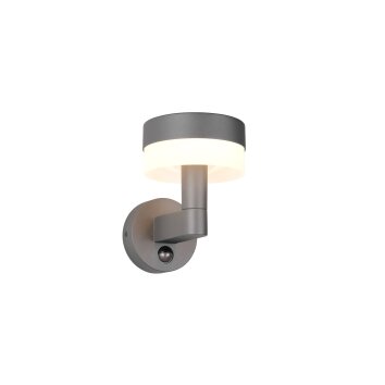 Trio MACKENZIE Vägglampa LED Antracit, 1-ljuskällor, Rörelsedetektor