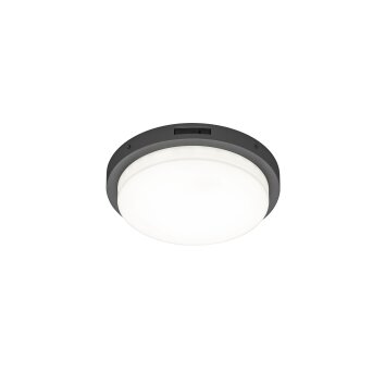 Trio BERMEJO Taklampa LED Antracit, 1-ljuskällor, Rörelsedetektor