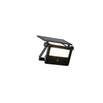 Reality Moura Vägglampa LED Svart, 1-ljuskällor, Rörelsedetektor