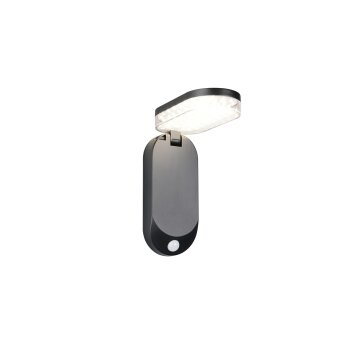 Reality LAGOAS Vägglampa LED Svart, 1-ljuskällor, Rörelsedetektor