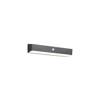 Reality SILVES Vägglampa LED Svart, 1-ljuskällor, Rörelsedetektor