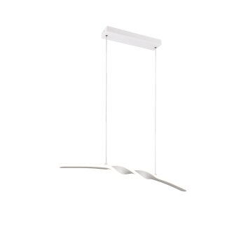 Reality Ginko Pendelbelysning LED Vit, 1-ljuskällor