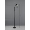 Reality Pongo Golvlampa LED Svart, 1-ljuskällor