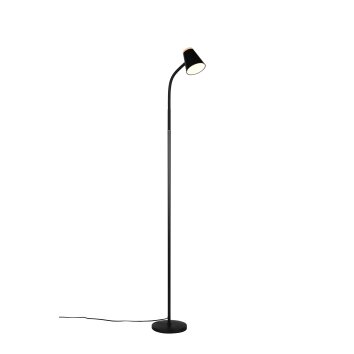 Reality Pongo Golvlampa LED Svart, 1-ljuskällor