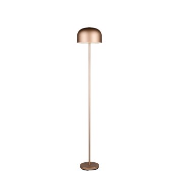 Reality Jeff Golvlampa LED Brun, 1-ljuskällor