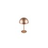 Reality Munoz Bordslampa LED Brun, 1-ljuskällor