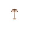Reality Munoz Bordslampa LED Brun, 1-ljuskällor