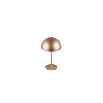 Reality Munoz Bordslampa LED Brun, 1-ljuskällor