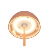 Reality Ortiz Bordslampa LED Orange, 1-ljuskällor