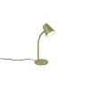 Reality Pongo Bordslampa LED Grön, 1-ljuskällor