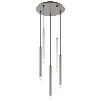 Globo Ryan Pendellampa Nickel matt, 5-ljuskällor