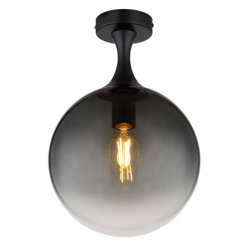 Globo Dalton Taklampa Svart, 1-ljuskällor