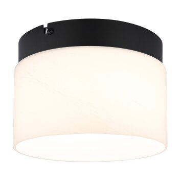 Globo Trenton Taklampa LED Svart, 1-ljuskällor