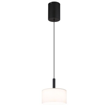 Globo Trenton Pendellampa LED Svart, 1-ljuskällor