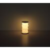 Globo Bendera Bordslampa LED Vit, 1-ljuskällor