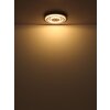 Globo Jayden Taklampa LED Svart, 1-ljuskällor