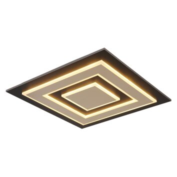 Globo Jayden Taklampa LED Svart, 1-ljuskällor