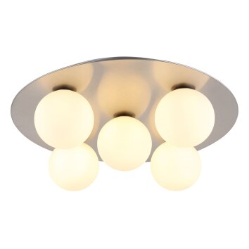 Globo Riha Taklampa Nickel matt, 5-ljuskällor