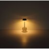 Globo Wanda Bordslampa LED Rökfärger, 1-ljuskällor