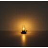 Globo Petro Bordslampa LED Champagne, 1-ljuskällor