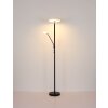 Globo Stanford Taklampa LED Nickel matt, 1-ljuskällor