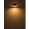 Globo Woody Taklampa LED Naturfärger, Svart, 1-ljuskällor