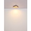 Globo Hayden Taklampa LED Naturfärger, Svart, 1-ljuskällor, Fjärrkontroll