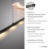 Leuchten Direkt NELE Pendelbelysning LED Svart, 1-ljuskällor