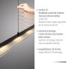 Leuchten Direkt NELE Pendelbelysning LED Svart, 1-ljuskällor
