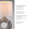 Leuchten Direkt CARARA Bordslampa LED Grått, 1-ljuskällor