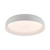 Leuchten Direkt OSKO Taklampa LED Vit, 1-ljuskällor, Fjärrkontroll