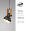 Leuchten Direkt 2.0 Pendelbelysning LED Brun, Svart, 1-ljuskällor