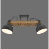 Leuchten Direkt 2.0 Taklampa LED Brun, Svart, 2-ljuskällor
