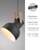 Leuchten Direkt 2.0 Pendelbelysning LED Brun, Svart, 1-ljuskällor