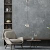 Paul Neuhaus Q-Rotate Pendelbelysning LED Silver, 1-ljuskällor, Fjärrkontroll