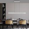 Paul Neuhaus Round Pendelbelysning LED Aluminium, 2-ljuskällor