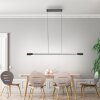 Paul Neuhaus Hoop Pendelbelysning LED Antracit, Silver, 1-ljuskällor