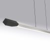 Paul Neuhaus Hoop Pendelbelysning LED Antracit, Silver, 1-ljuskällor