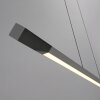 Paul Neuhaus Hoop Pendelbelysning LED Antracit, Silver, 1-ljuskällor